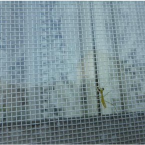 生命の神秘　孵化しました ♪