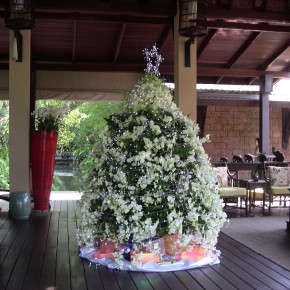 常夏のクリスマス　ツリー☆