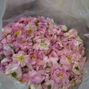 アロマテラピーとは　