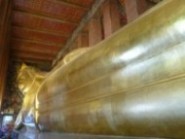 ワットポー 上半身 長い