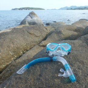 海遊び　生き物たち Ψ