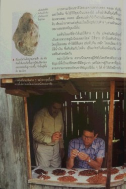 本 タイ gemstones4