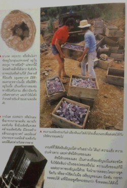 本 タイ gemstones6