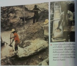 本 タイ gemstones8