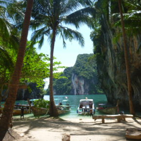 ニモに会いたくて　ピピ島、パンガン島