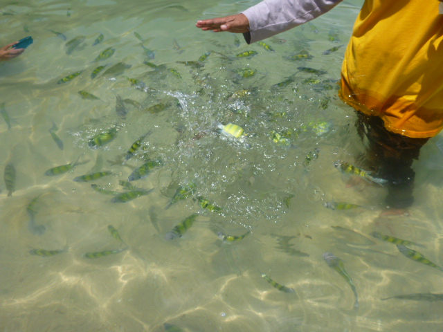 2015_0506_141050-P1040269