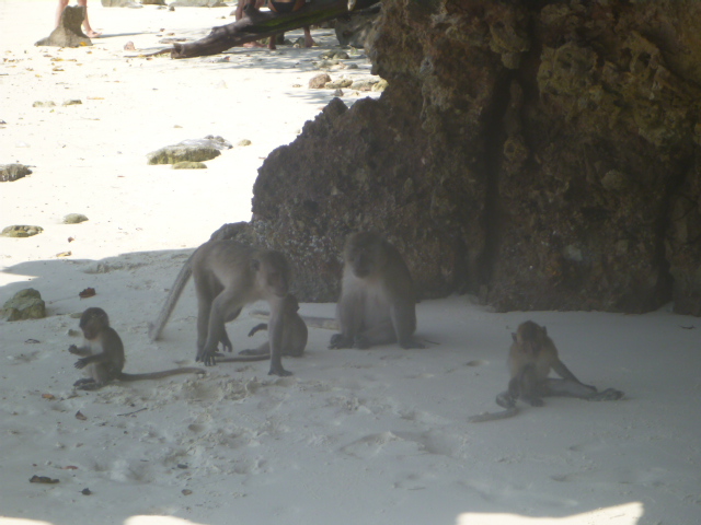 2015_0508_131036-P1040312