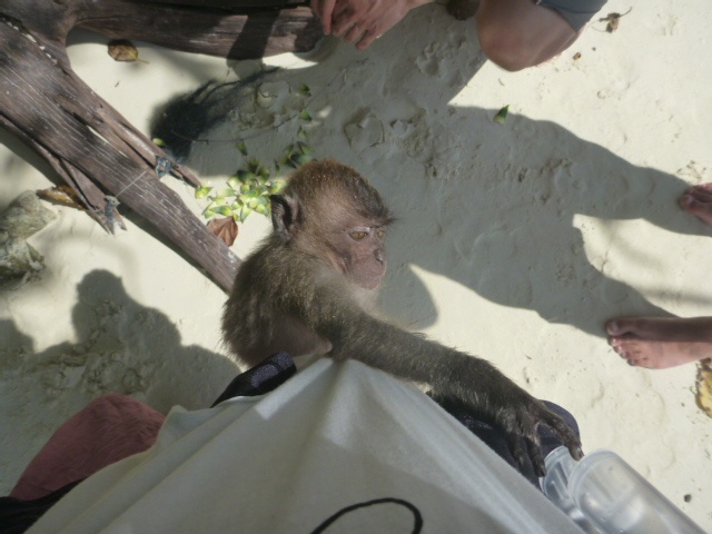 2015_0508_131344-P1040317