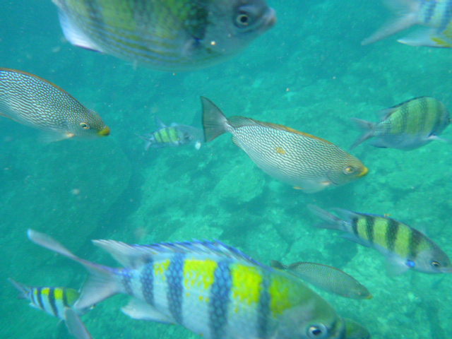 2015_0508_161411-P1040375