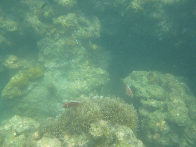 2016_0413_180521-P1050177