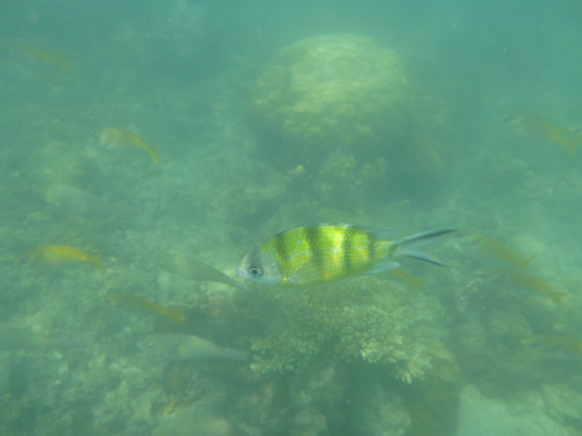 2016_0413_181224-P1050215