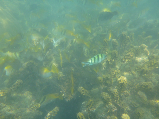 2016_0414_140933-P1050235