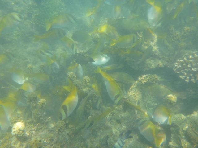 2016_0414_140945-P1050236