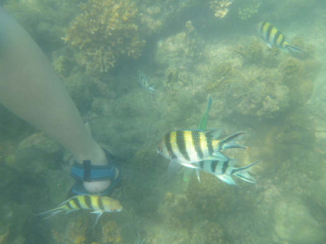 2016_0414_141408-P1050237