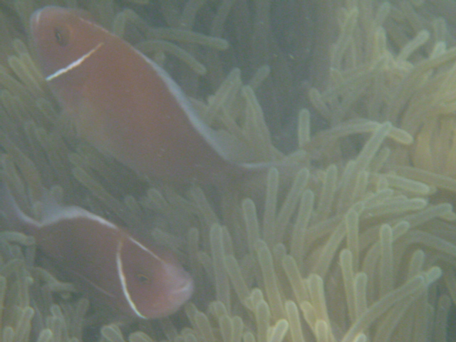 2016_0414_145104-P1050285