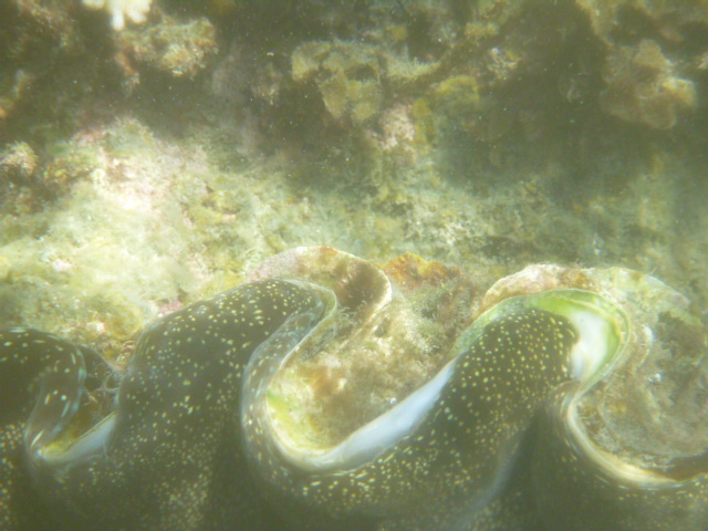 2016_0414_152816-P1050375