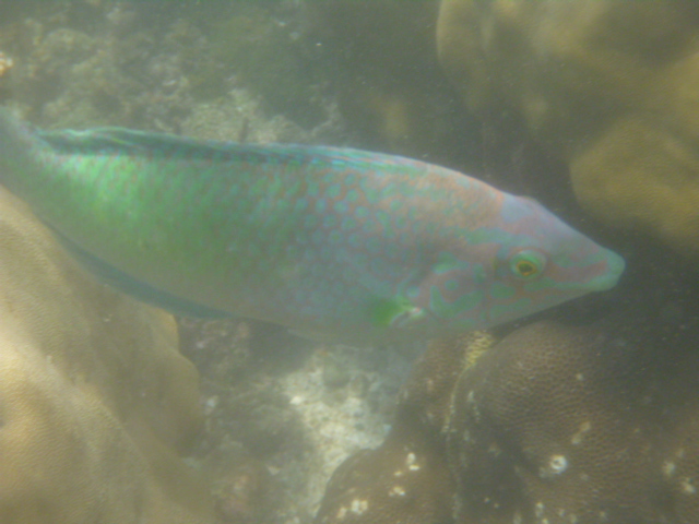 2016_0414_152931-P1050379