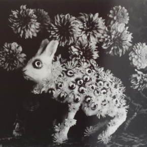 2023 ウサギはみている　🐇